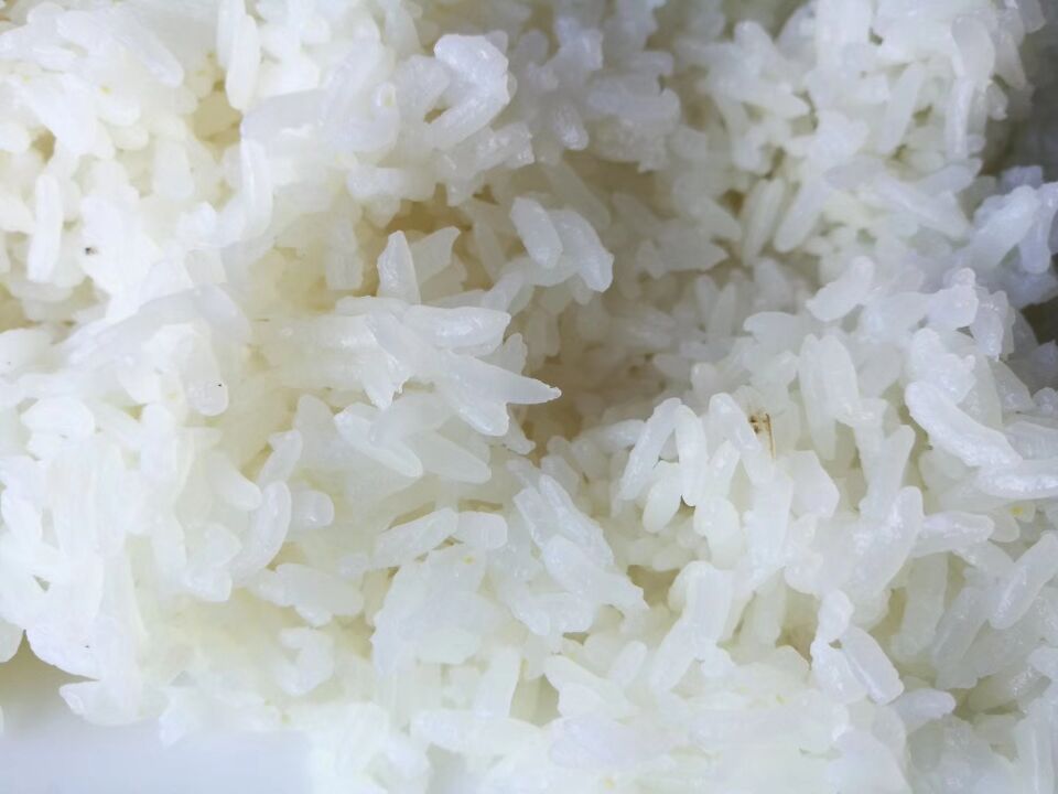 【2017纳新黑龙江考察大米之行】大米品种—“稻花香和龙洋十六”