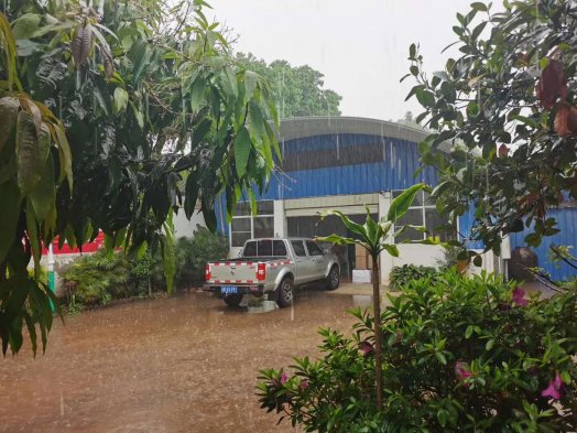 2020纳新云南茶山行——勐海下雨了