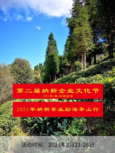 2021年纳新茶业勐海茶山行