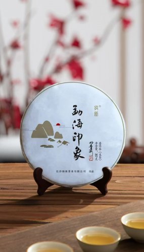 #2025纳新茶业勐海茶山行——样涵基地学茶品茶