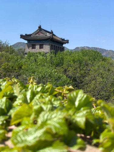 山海关风光（二）漫步