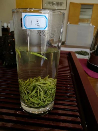 绿茶考题