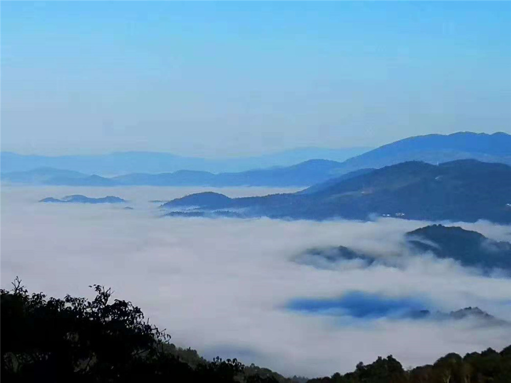 2018纳新茶山行  勐海南糯山