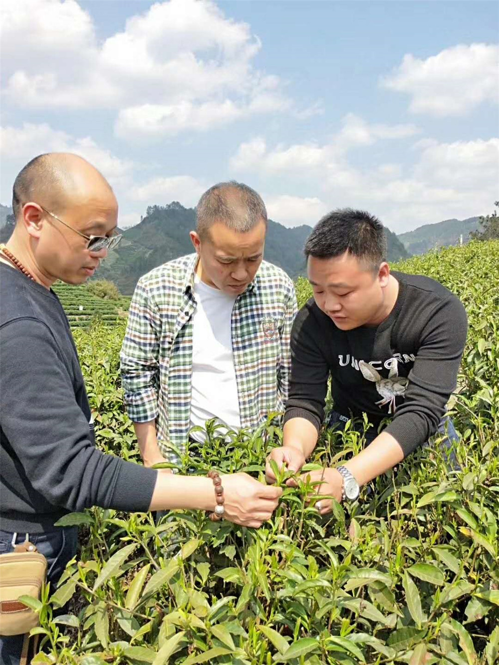 2019纳新茶山行 —— 深入考察，探讨合作