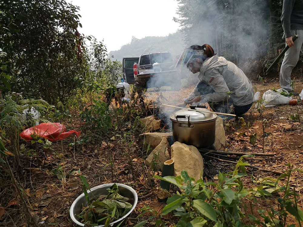 2019纳新勐海茶山行 —— 茶山上的原生态中餐